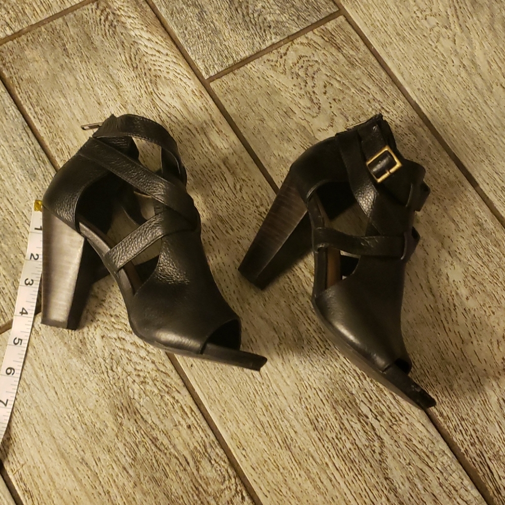 Steve madden